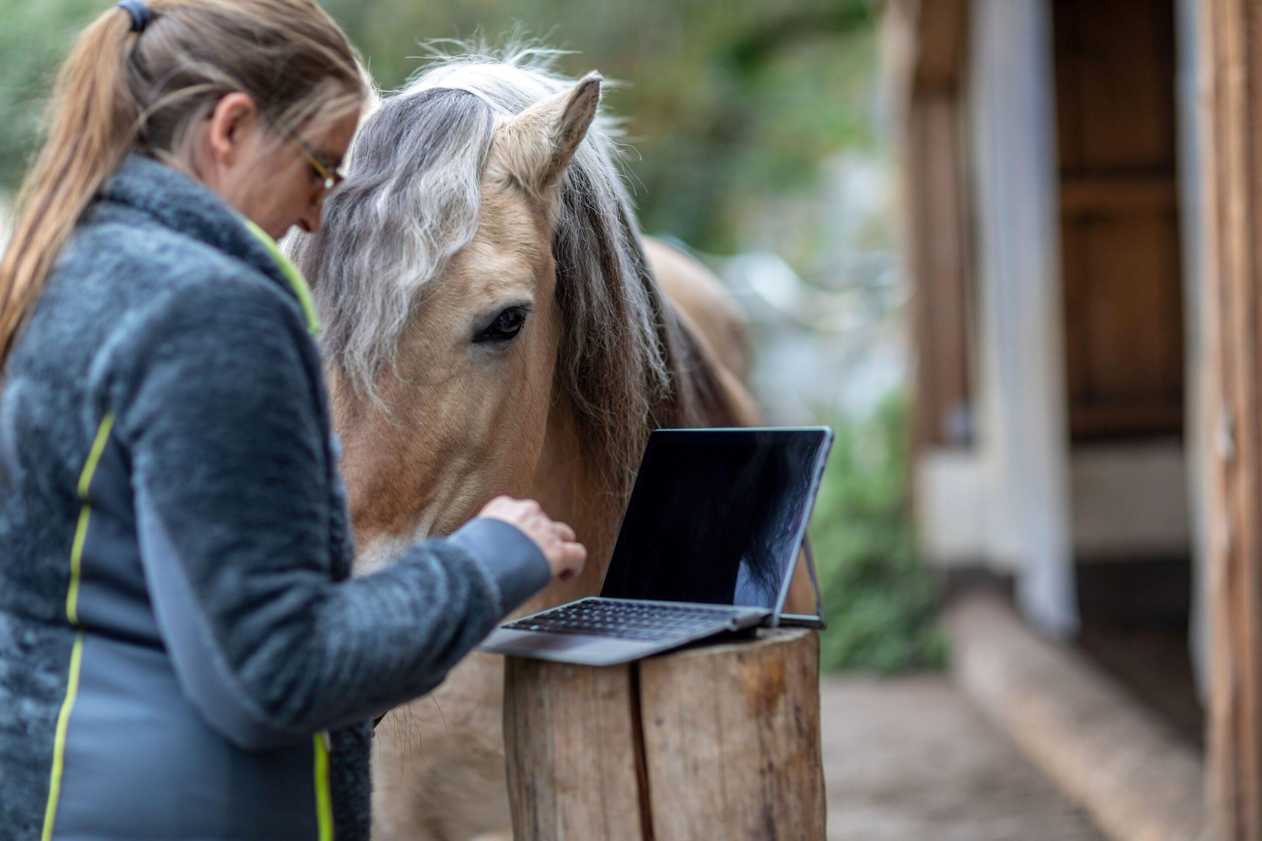 A person stands in front of a horse with a laptop and looks something up
