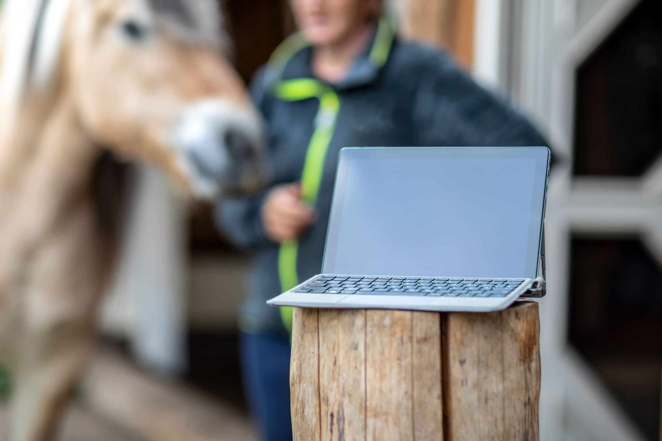 A woman stands by a horse and there is a laptop in the foreground
